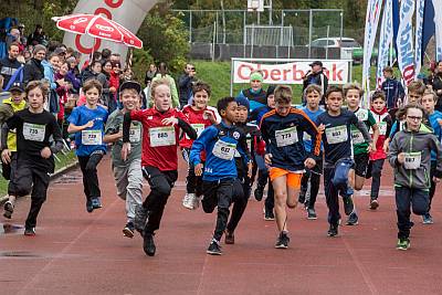 Donaulauf 2019 KIndermarathon_Foto Steiner