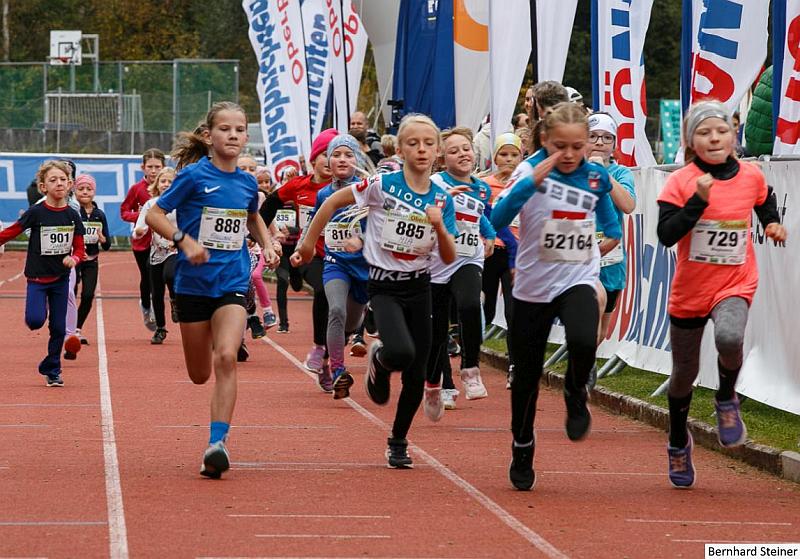 Donaulauf Ottensheim Anlaufen 2019 3