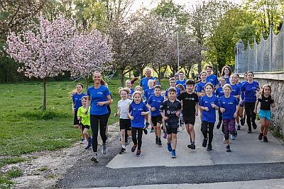 Donaulauf Ottensheim Anlaufen 2019 3